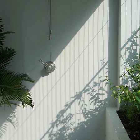 Maiam Homestay Хошимин Экстерьер фото