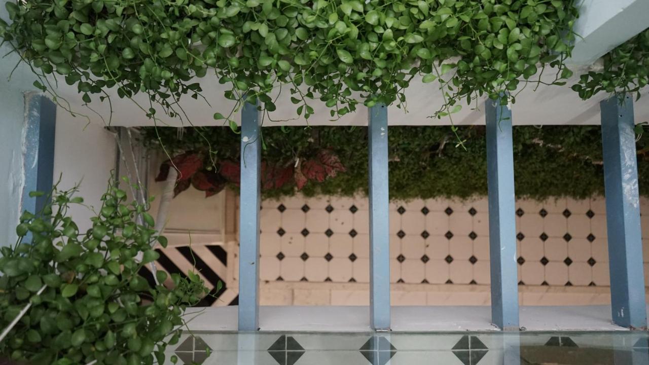 Maiam Homestay Хошимин Экстерьер фото
